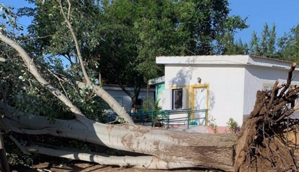 A generic square placeholder image with rounded corners in a figure.