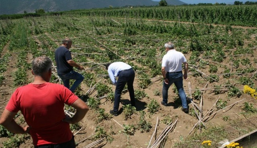 A generic square placeholder image with rounded corners in a figure.