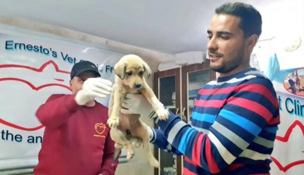 A generic square placeholder image with rounded corners in a figure.