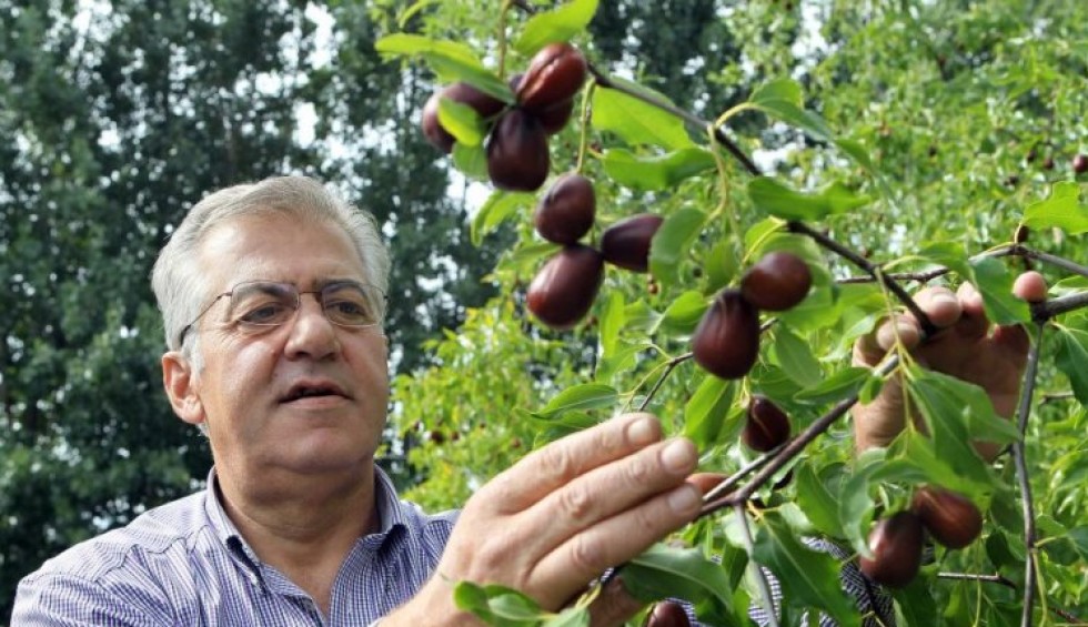 A generic square placeholder image with rounded corners in a figure.