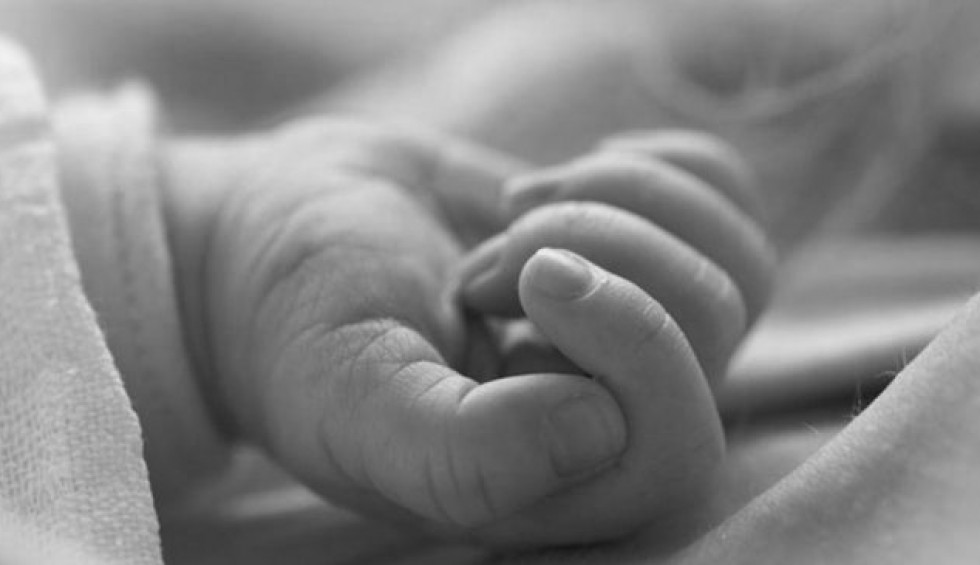 A generic square placeholder image with rounded corners in a figure.