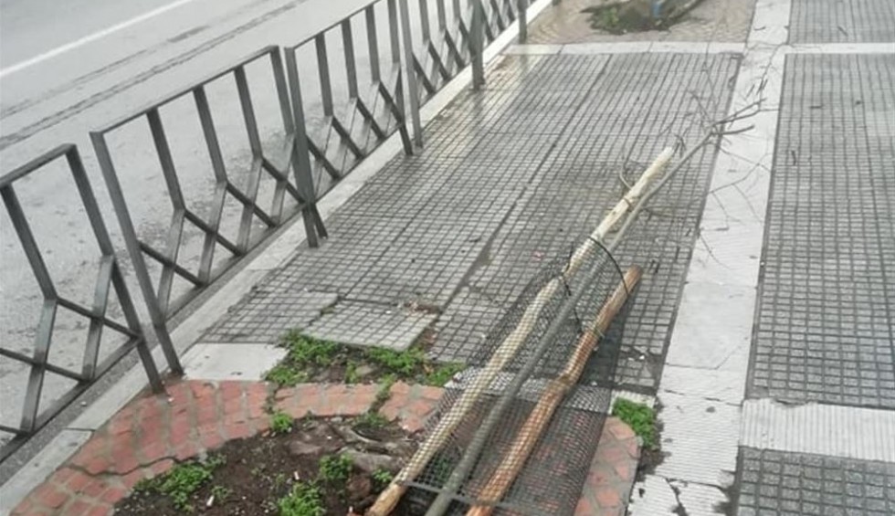 A generic square placeholder image with rounded corners in a figure.