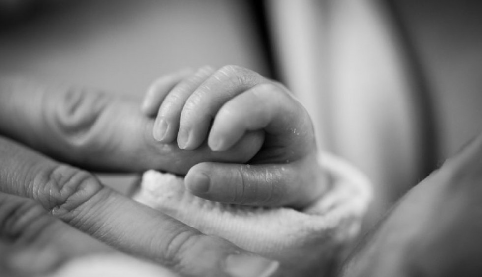 A generic square placeholder image with rounded corners in a figure.