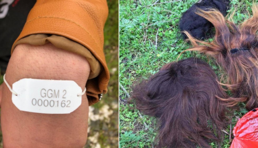 A generic square placeholder image with rounded corners in a figure.