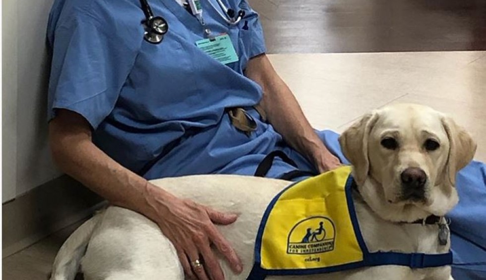 A generic square placeholder image with rounded corners in a figure.