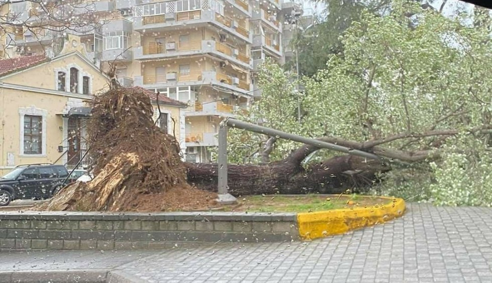 A generic square placeholder image with rounded corners in a figure.