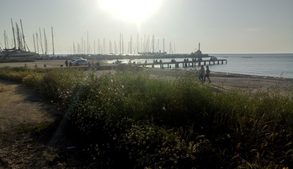 A generic square placeholder image with rounded corners in a figure.