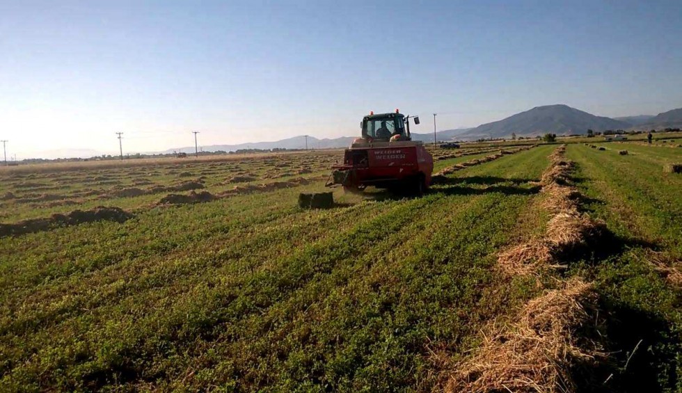 A generic square placeholder image with rounded corners in a figure.