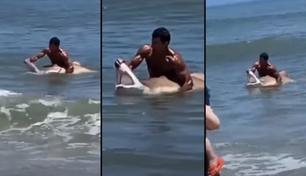 A generic square placeholder image with rounded corners in a figure.