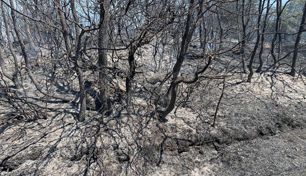 A generic square placeholder image with rounded corners in a figure.