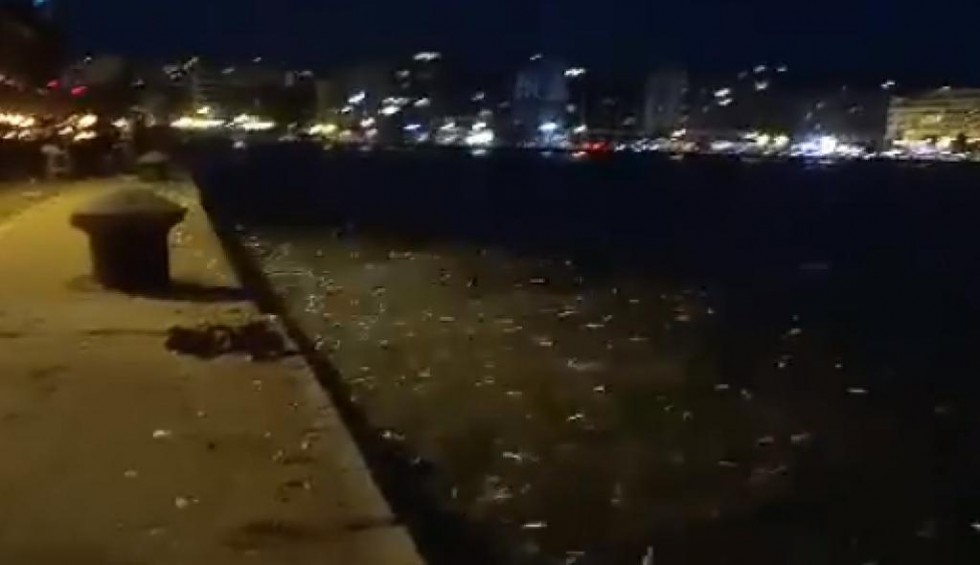 A generic square placeholder image with rounded corners in a figure.