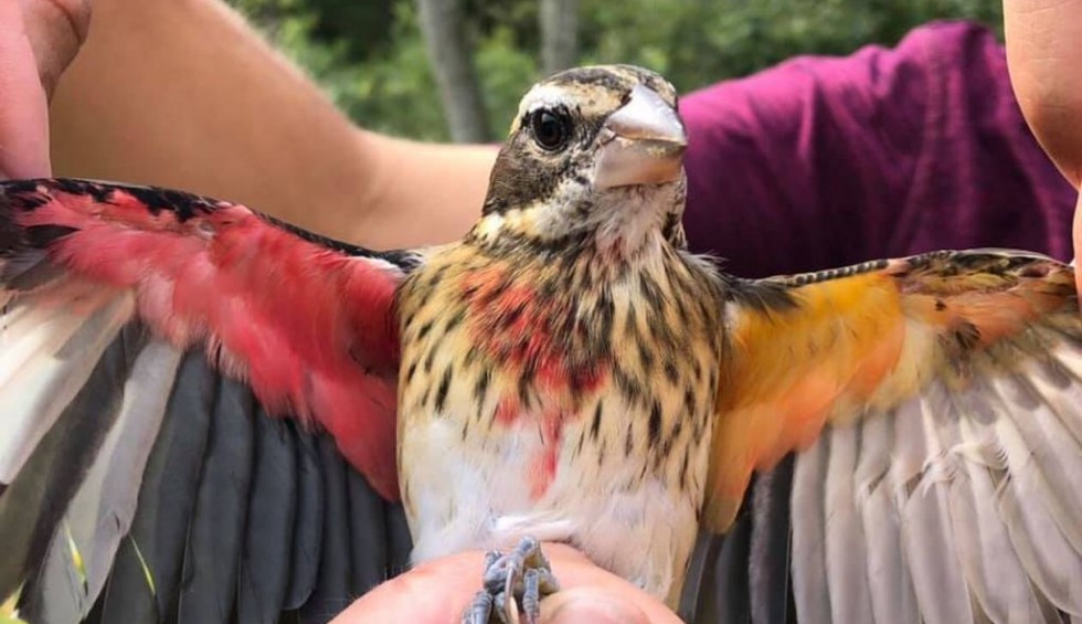 A generic square placeholder image with rounded corners in a figure.