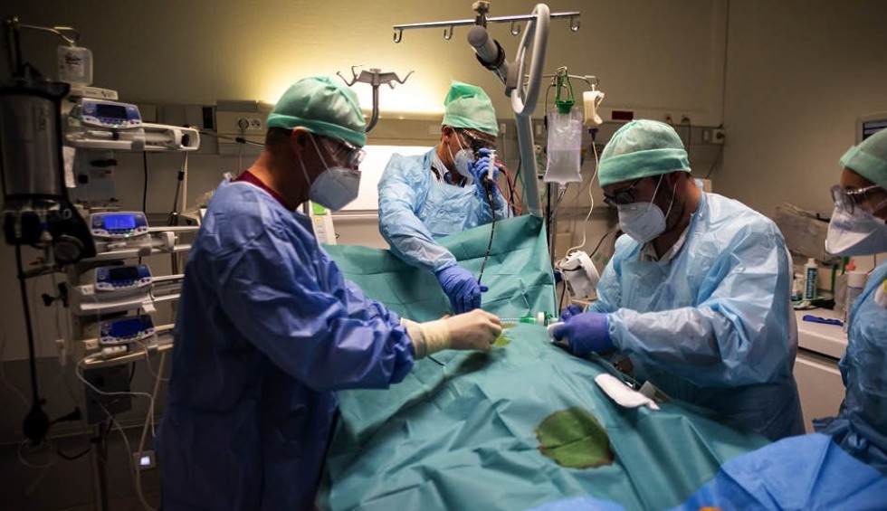 A generic square placeholder image with rounded corners in a figure.