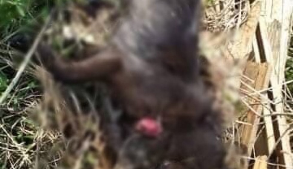 A generic square placeholder image with rounded corners in a figure.