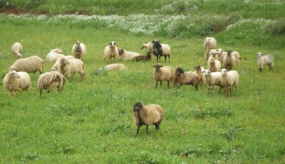 A generic square placeholder image with rounded corners in a figure.