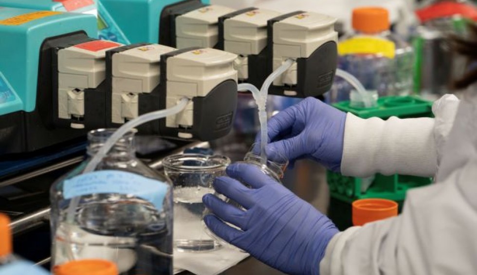 A generic square placeholder image with rounded corners in a figure.