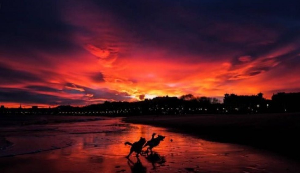 A generic square placeholder image with rounded corners in a figure.