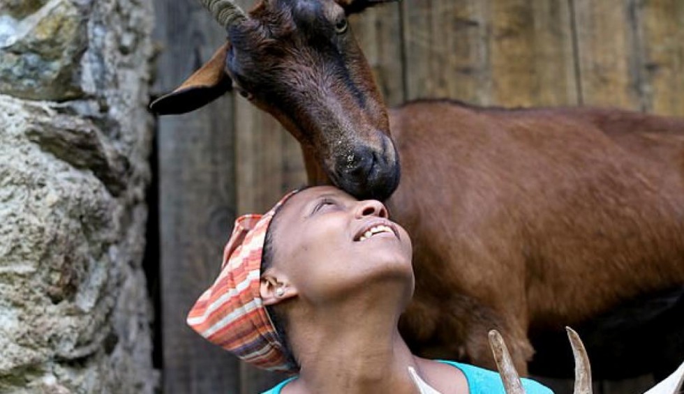 A generic square placeholder image with rounded corners in a figure.