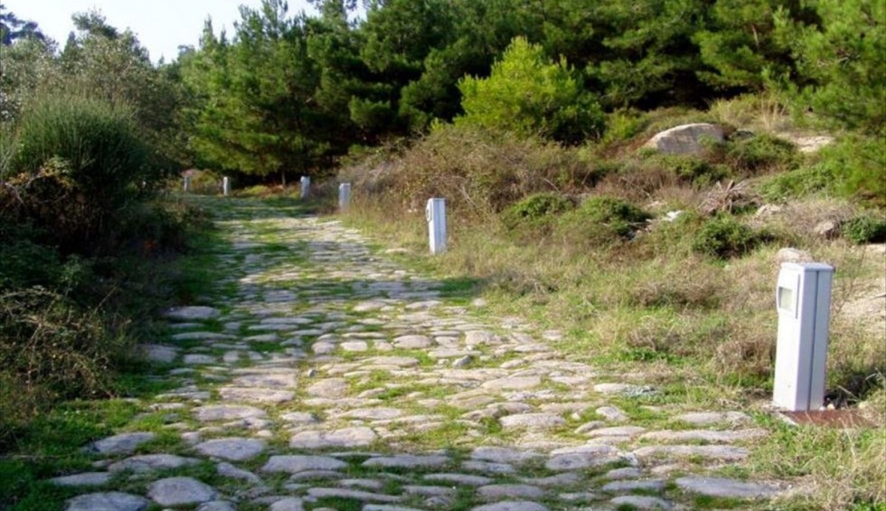 A generic square placeholder image with rounded corners in a figure.