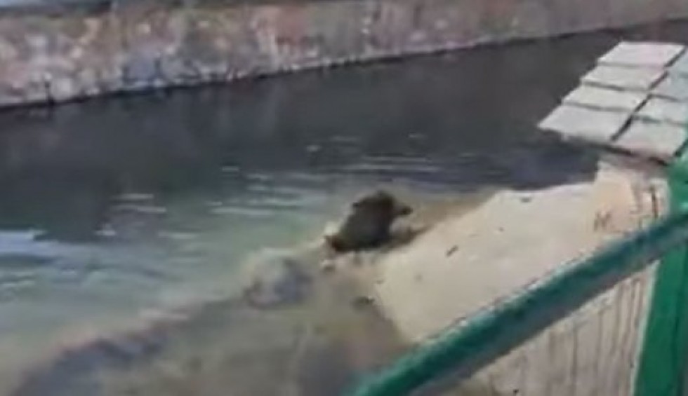 A generic square placeholder image with rounded corners in a figure.