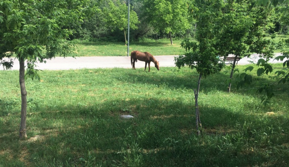 A generic square placeholder image with rounded corners in a figure.