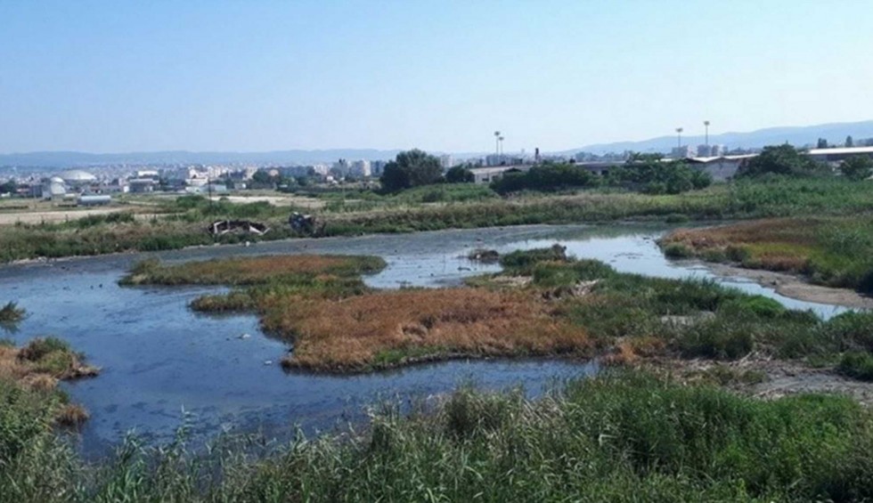 A generic square placeholder image with rounded corners in a figure.