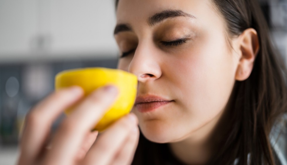 A generic square placeholder image with rounded corners in a figure.