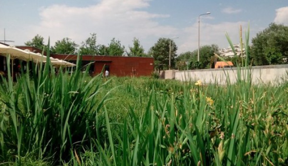 A generic square placeholder image with rounded corners in a figure.