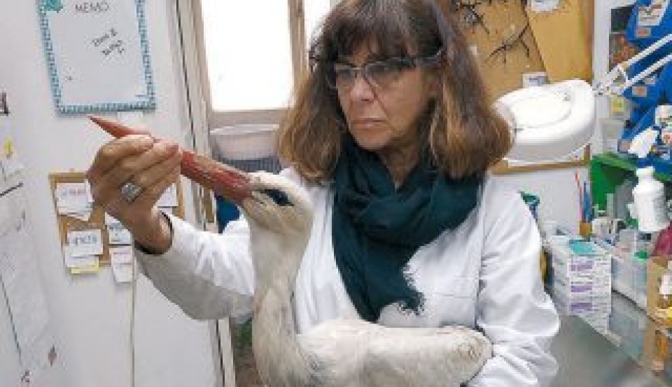 A generic square placeholder image with rounded corners in a figure.