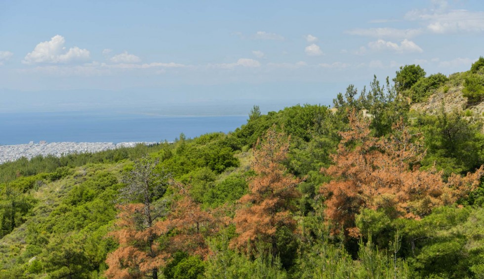 A generic square placeholder image with rounded corners in a figure.