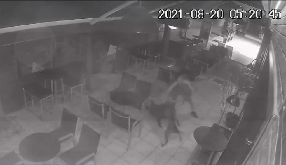 A generic square placeholder image with rounded corners in a figure.