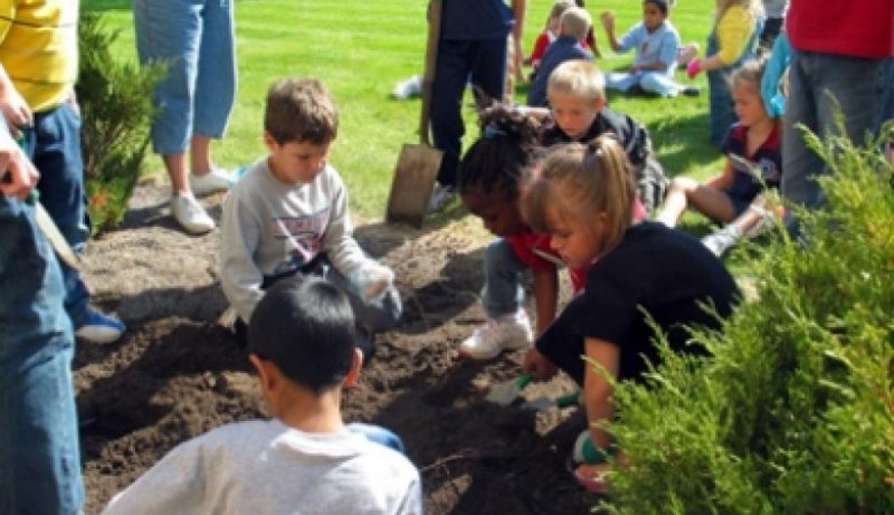 A generic square placeholder image with rounded corners in a figure.