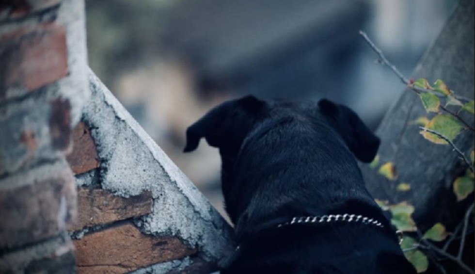 A generic square placeholder image with rounded corners in a figure.