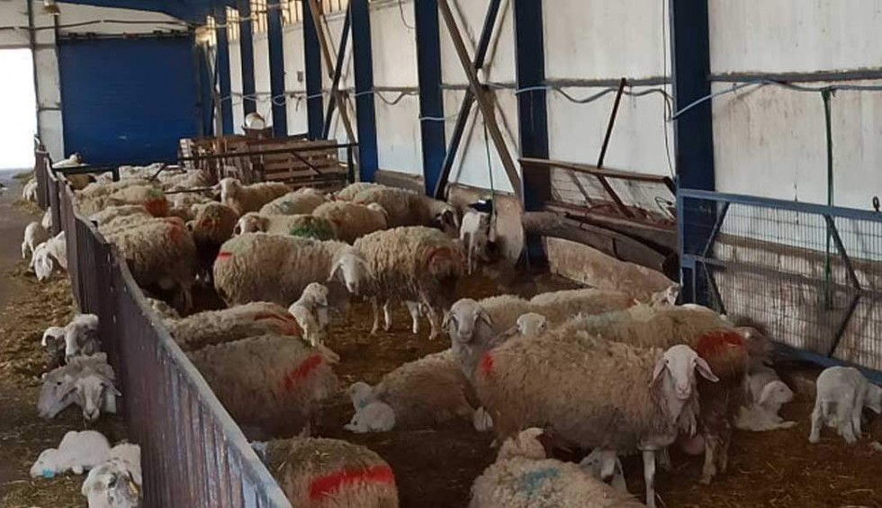 A generic square placeholder image with rounded corners in a figure.