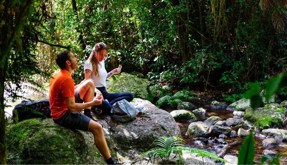 A generic square placeholder image with rounded corners in a figure.