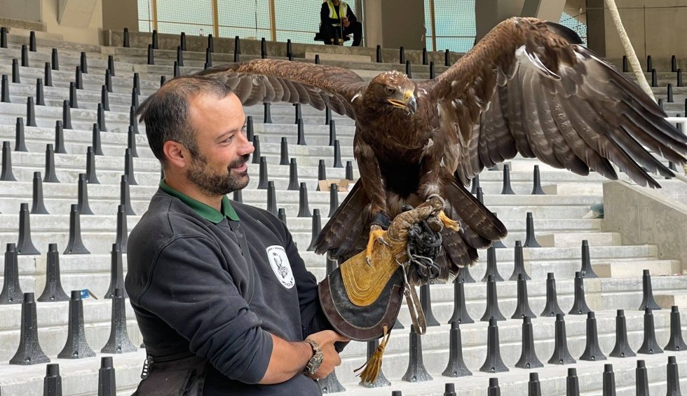 A generic square placeholder image with rounded corners in a figure.