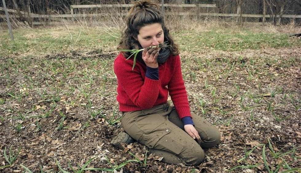 A generic square placeholder image with rounded corners in a figure.