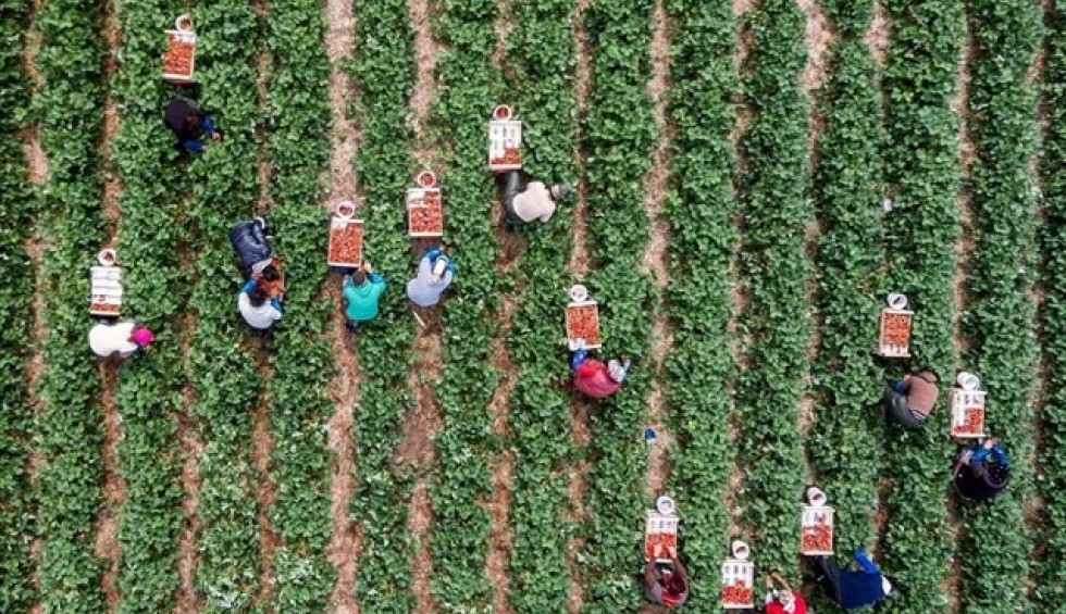 A generic square placeholder image with rounded corners in a figure.