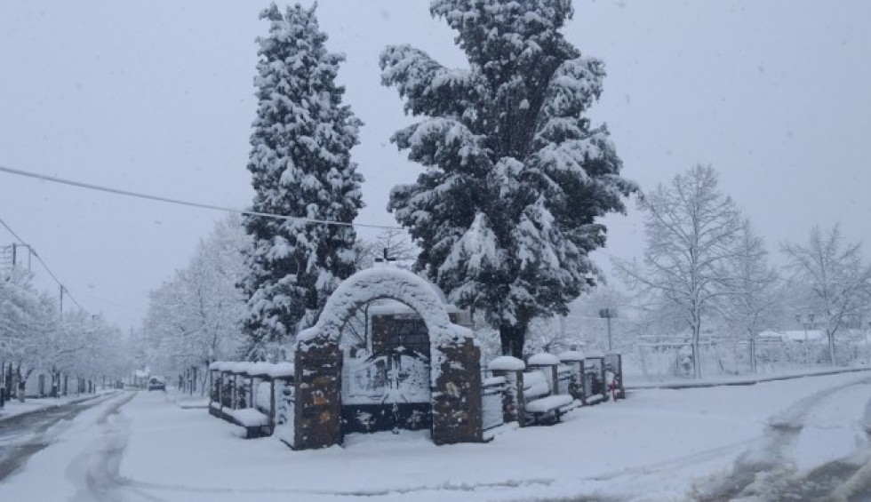 A generic square placeholder image with rounded corners in a figure.