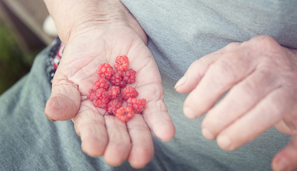 A generic square placeholder image with rounded corners in a figure.