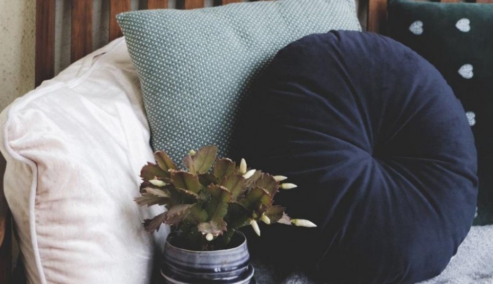 A generic square placeholder image with rounded corners in a figure.