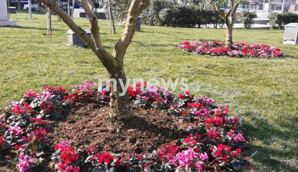 A generic square placeholder image with rounded corners in a figure.