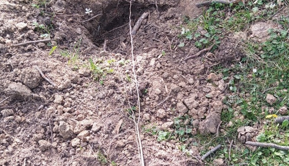 A generic square placeholder image with rounded corners in a figure.