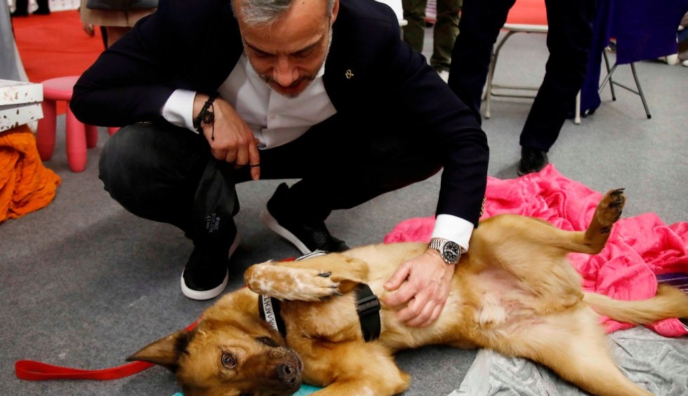 A generic square placeholder image with rounded corners in a figure.