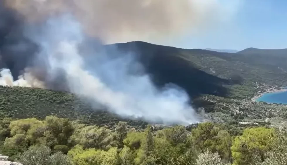 A generic square placeholder image with rounded corners in a figure.