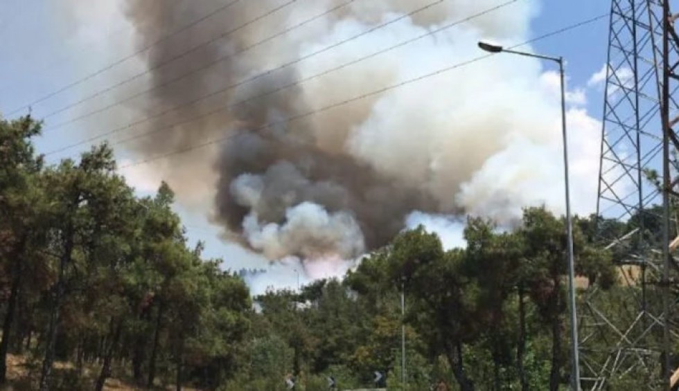 A generic square placeholder image with rounded corners in a figure.