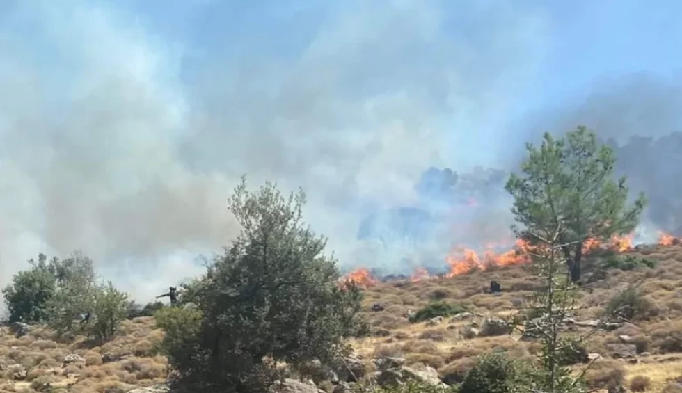 A generic square placeholder image with rounded corners in a figure.