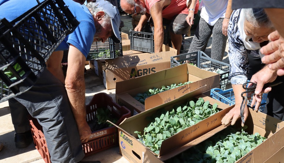 A generic square placeholder image with rounded corners in a figure.