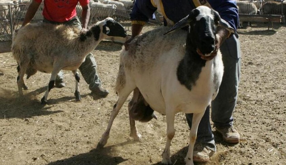 A generic square placeholder image with rounded corners in a figure.