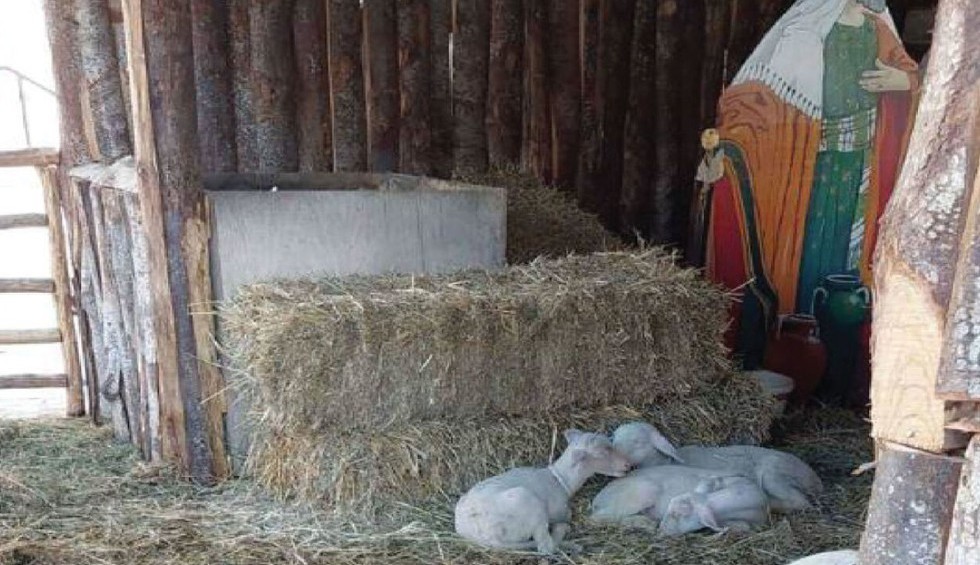 A generic square placeholder image with rounded corners in a figure.